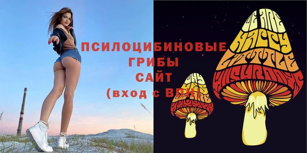 мет Абаза