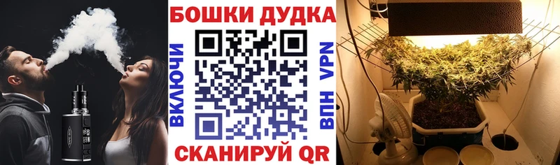 Марихуана планчик Тихвин